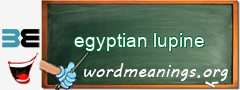 WordMeaning blackboard for egyptian lupine